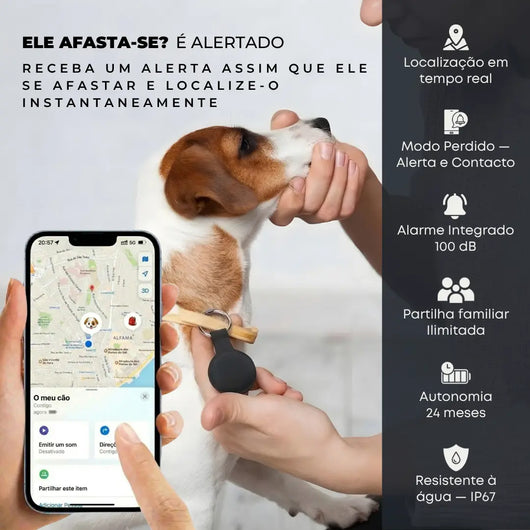 Localizador GPS com alerta de afastamento — Maxtag Pro 2.0 no cão, notificação instantânea no smartphone