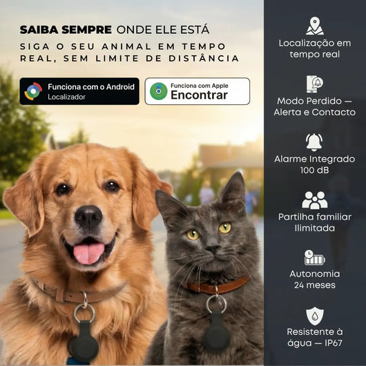 Localizador GPS para animais de estimação — cão e gato com Maxtag Pro 2.0 na coleira, localização em tempo real