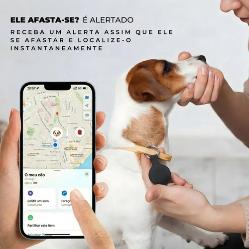 Alerta de afastamento no telemóvel — localizador Maxtag preso à coleira de um cão com localização em tempo real